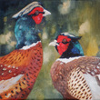 Cock Pheasants (heads)