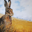 Hare in Stubble