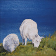 Sheep on Cliff